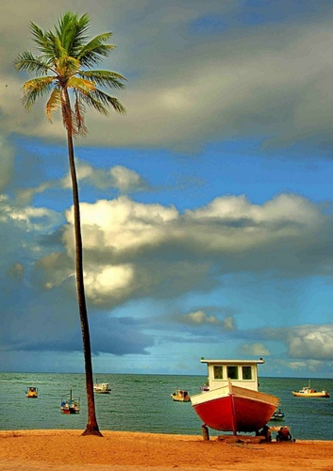 VIAJES A SALVADOR DE BAHIA CON VUELOS DESDE CORDOBA - Salvador de Baha /  - Paquetes a Brasil BUTELER VIAJES